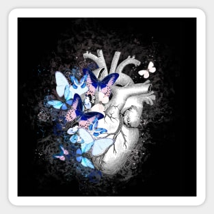 Bluee butterflies Heart Human Anatomy Sticker